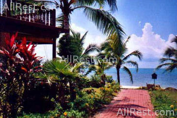 Coconut Laguna 14